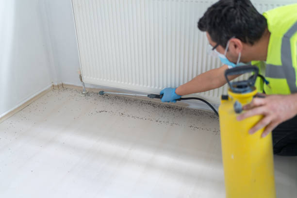 Best Best Pest Control Companies  in Uniontown, OH
